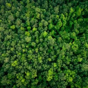 Vers un avenir durable : notre engagement RSE